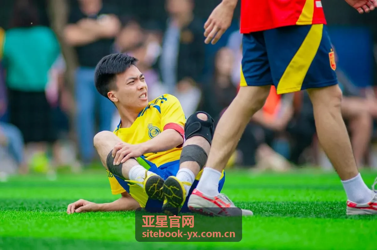 亚星官网使用指南内容